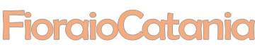 homepage 